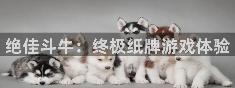 沐鸣娱乐2官方