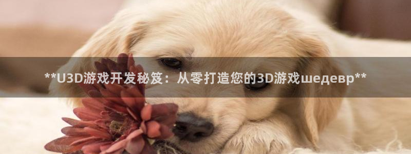 沐鸣娱乐2官网网址