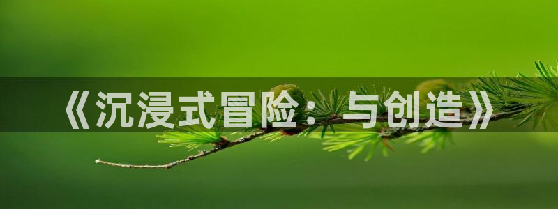 沐鸣娱乐2多彩平台：《沉浸式冒险：与创造》