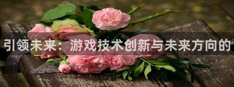 沐鸣2注册说来77542：引领未来：游戏技术创新与未来方向的