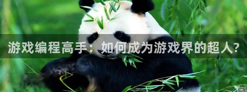 沐鸣娱乐2登入：游戏编程高手：如何成为游戏界的超人?
