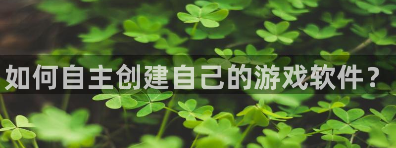 沐鸣娱乐2官方网站：如何自主创建自己的游戏软件？