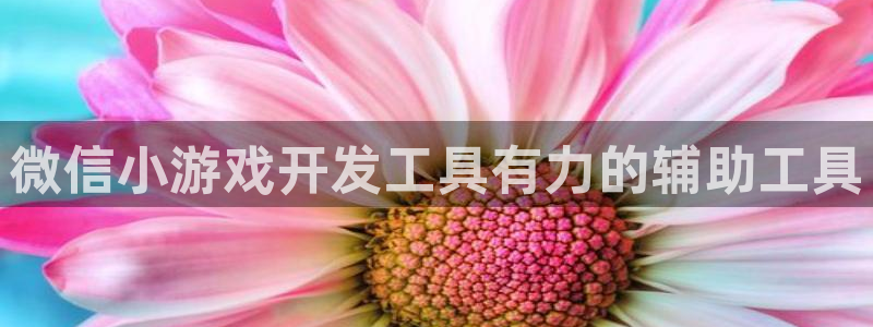 首页沐鸣2注册官网：微信小游戏开发工具有力的辅助工具