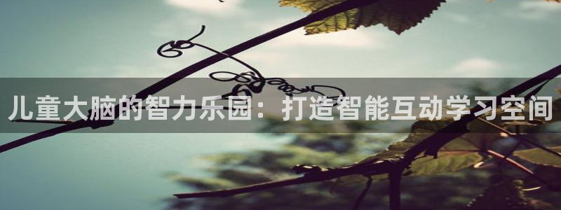 沐鸣2开户：儿童大脑的智力乐园：打造智能互动学习空间