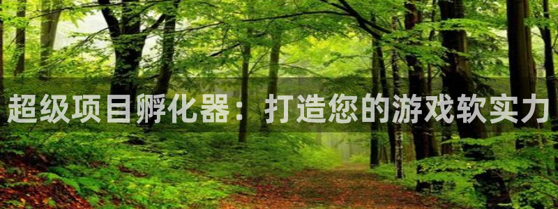 沐鸣2注册开户：超级项目孵化器：打造您的游戏软实力