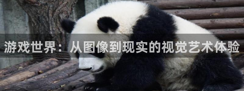 沐鸣2开户地址：游戏世界：从图像到现实的视觉艺术体验