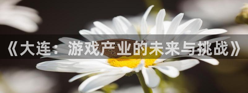 沐鸣2登录网址：《大连：游戏产业的未来与挑战》