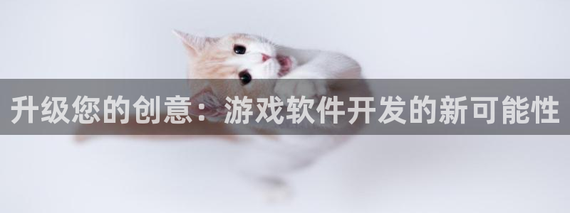 沐鸣娱乐2返点：升级您的创意：游戏软件开发的新可能性