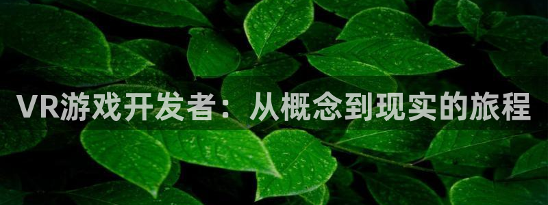 沐鸣2平台官网登录：VR游戏开发者：从概念到现实的旅程