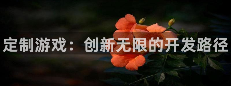 沐鸣2官网注册地址：定制游戏：创新无限的开发路径